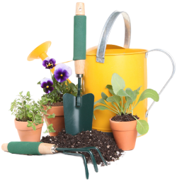 gardening tools and pots