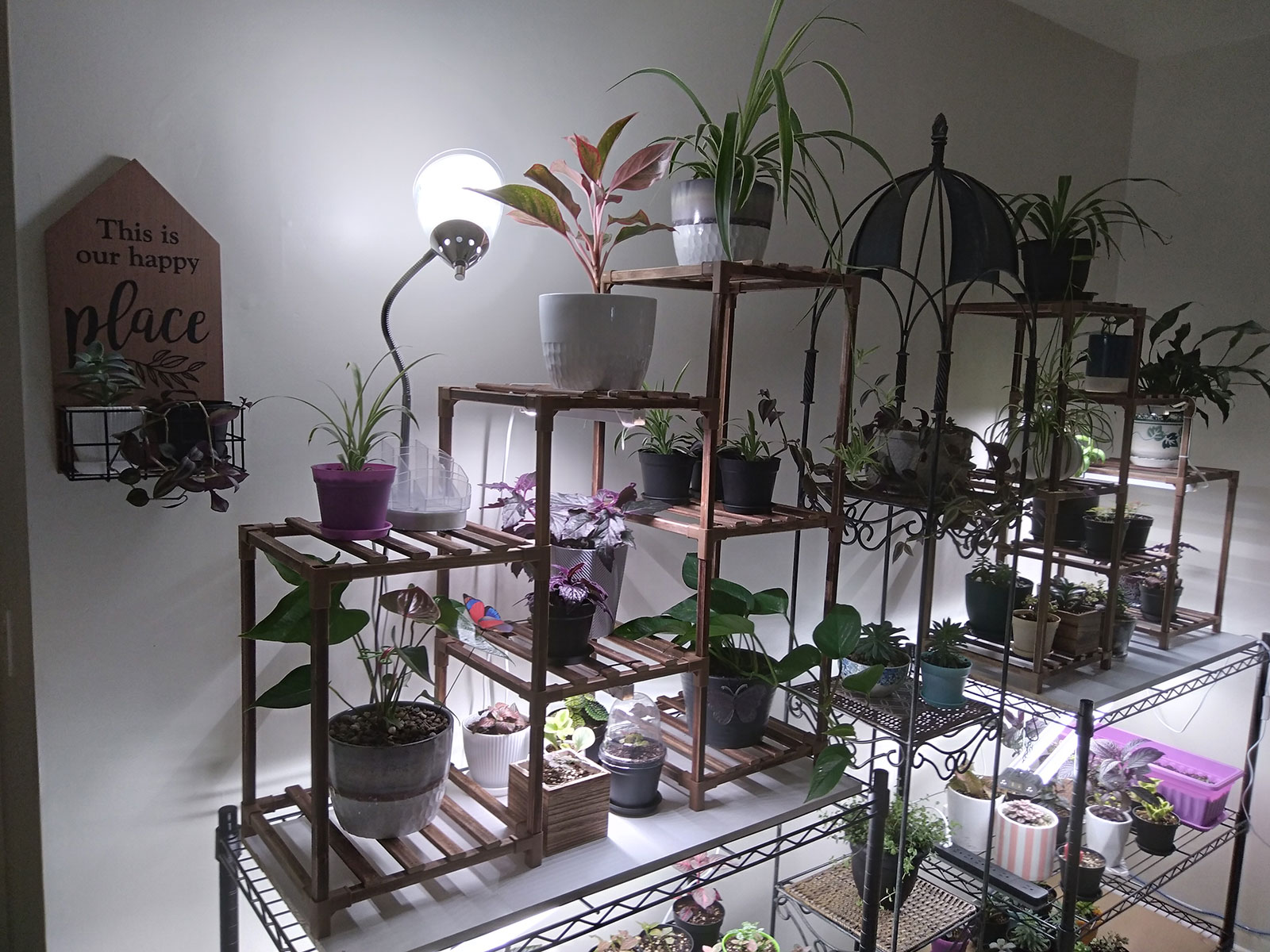 plant room