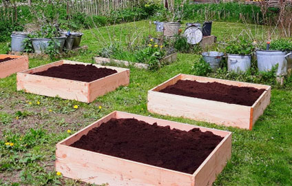 raised garden beds